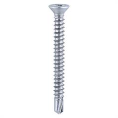 Window Screws