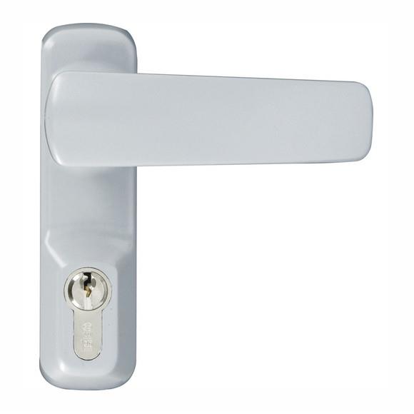 Iseo 940 Outside Access Device; Lever Handle; Complete With Cylinder; Grey Finish (GR)